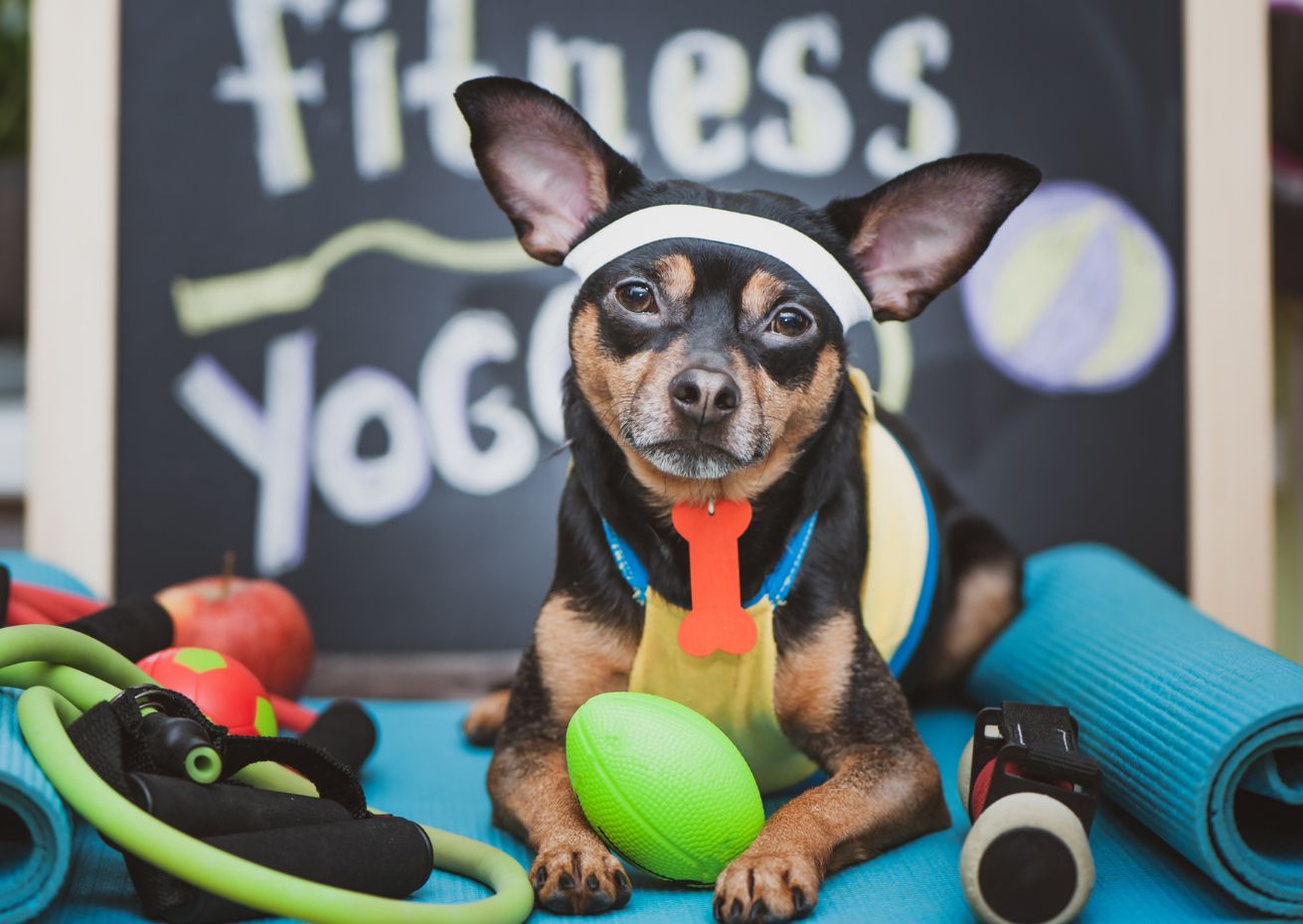 Projekt-bez-nazwy-42-3